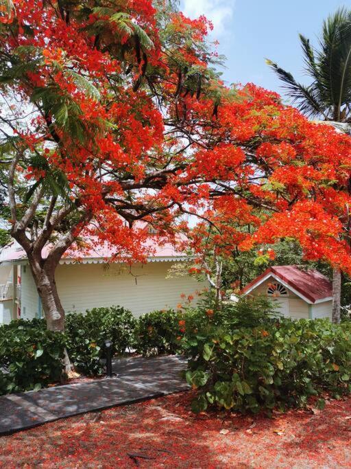 Appart T3 Village Vacances Sainte-Anne Courcelles Ngoại thất bức ảnh